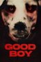 Nonton Film Good Boy (2022) Bioskop21 Nonton Film Good Boy (2022) Bioskop21