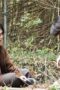 Nonton Film ACMA:GAME Season 1 Episode 8 Bioskop21 Nonton Film ACMA:GAME Season 1 Episode 8 Bioskop21