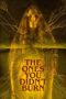 Nonton Film The Ones You Didn’t Burn (2022) Bioskop21 Nonton Film The Ones You Didn’t Burn (2022) Bioskop21