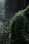 Nonton Film Swamp Thing Season 1 Episode 10 Bioskop21 Nonton Film Swamp Thing Season 1 Episode 10 Bioskop21