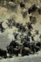 Nonton Film Welcome to Earth Season 1 Episode 3 Bioskop21 Nonton Film Welcome to Earth Season 1 Episode 3 Bioskop21